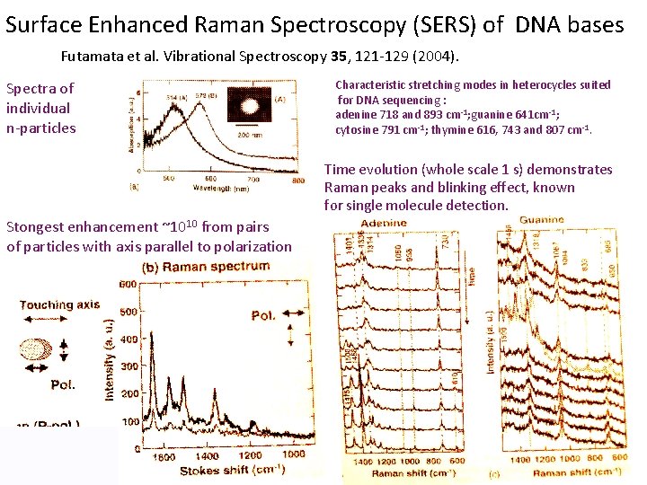 Surface Enhanced Raman Spectroscopy (SERS) of DNA bases Futamata et al. Vibrational Spectroscopy 35,