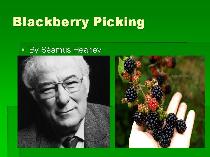 Blackberry Picking § By Séamus Heaney (1939 -2013) 