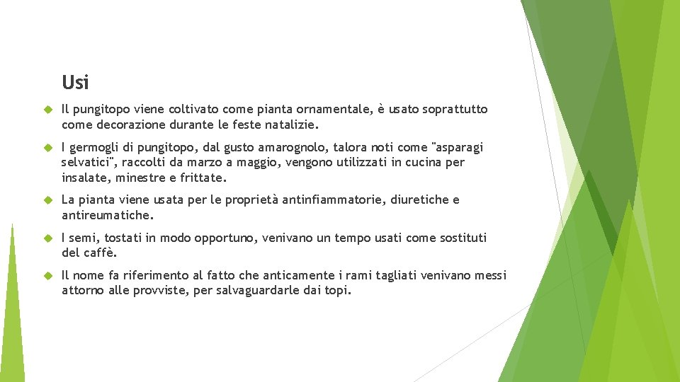 Usi Il pungitopo viene coltivato come pianta ornamentale, è usato soprattutto come decorazione durante