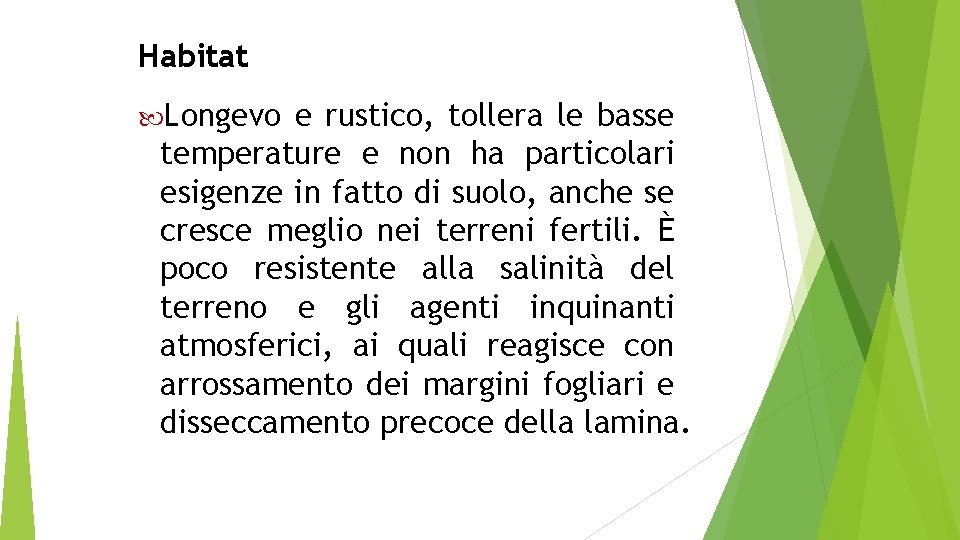 Habitat Longevo e rustico, tollera le basse temperature e non ha particolari esigenze in