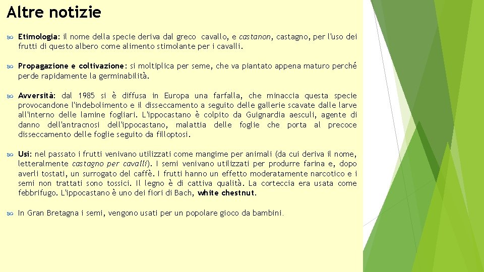 Altre notizie Etimologia: il nome della specie deriva dal greco cavallo, e castanon, castagno,