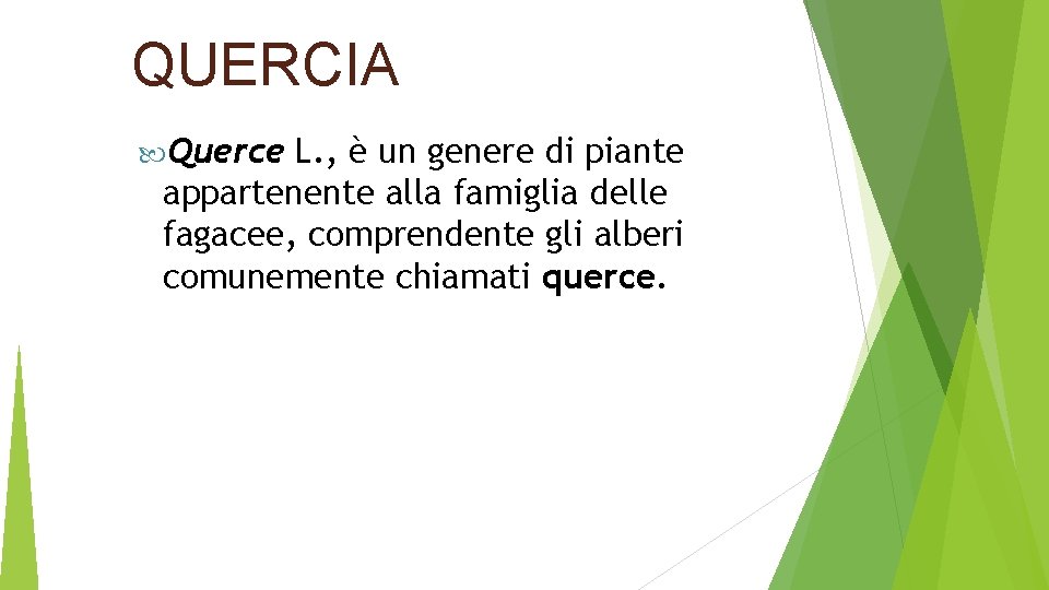 QUERCIA Querce L. , è un genere di piante appartenente alla famiglia delle fagacee,