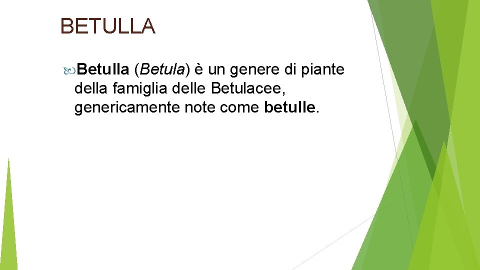 BETULLA Betulla (Betula) è un genere di piante della famiglia delle Betulacee, genericamente note