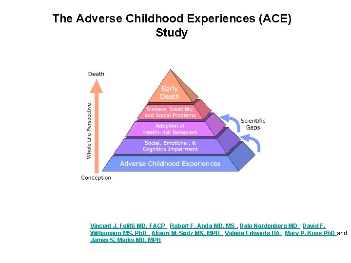 The Adverse Childhood Experiences (ACE) Study Vincent J. Felitti MD, FACP , Robert F.