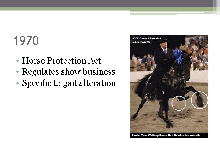 1970 • Horse Protection Act • Regulates show business • Specific to gait alteration