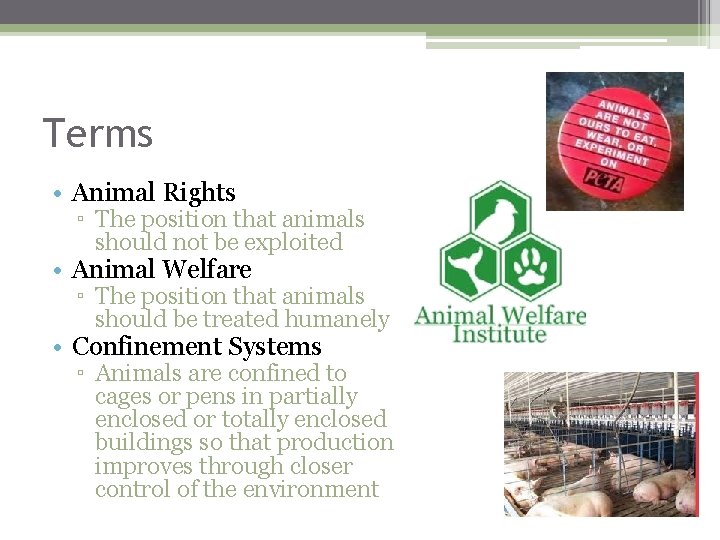 Terms • Animal Rights ▫ The position that animals should not be exploited •