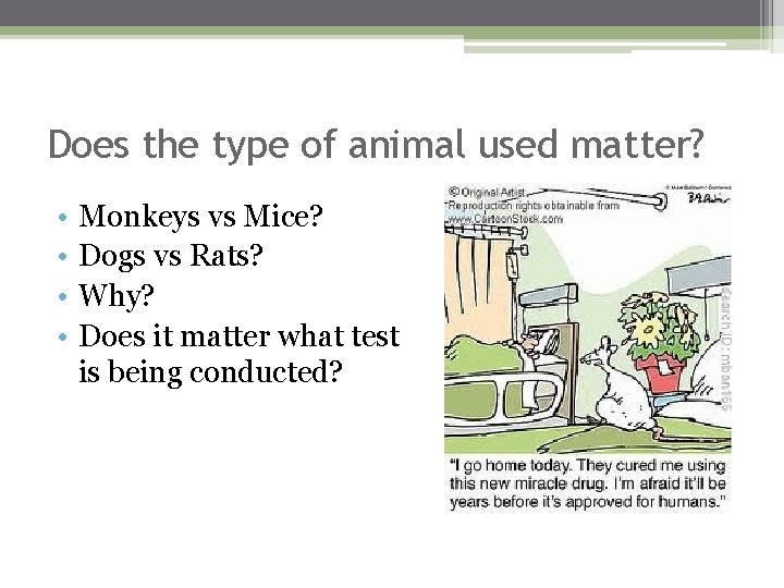 Does the type of animal used matter? • • Monkeys vs Mice? Dogs vs