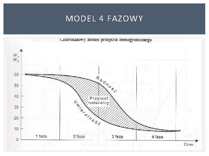 MODEL 4 FAZOWY 