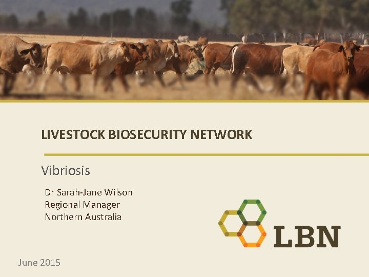 LIVESTOCK BIOSECURITY NETWORK Vibriosis Dr Sarah-Jane Wilson Regional Manager Northern Australia June 2015 