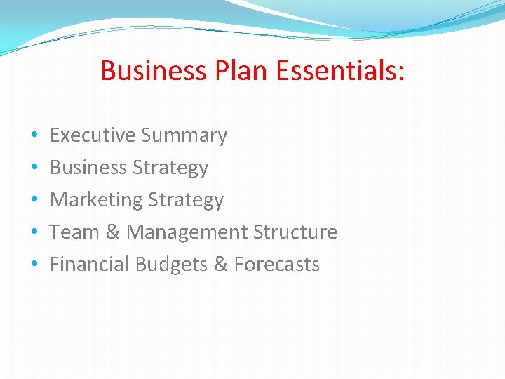Business Plan Essentials: • • • Executive Summary Business Strategy Marketing Strategy Team &