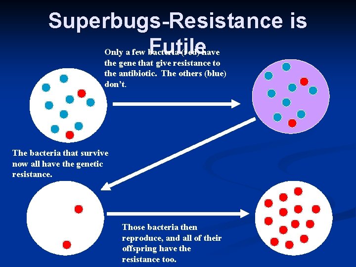 Superbugs-Resistance is Futile Only a few bacteria (red) have the gene that give resistance