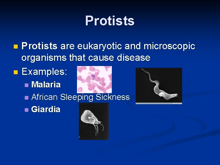 Protists are eukaryotic and microscopic organisms that cause disease n Examples: n Malaria n