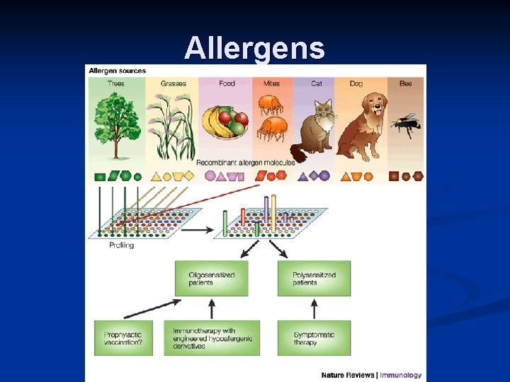 Allergens 