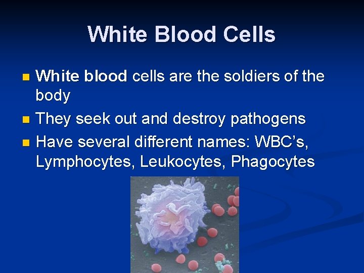 White Blood Cells White blood cells are the soldiers of the body n They