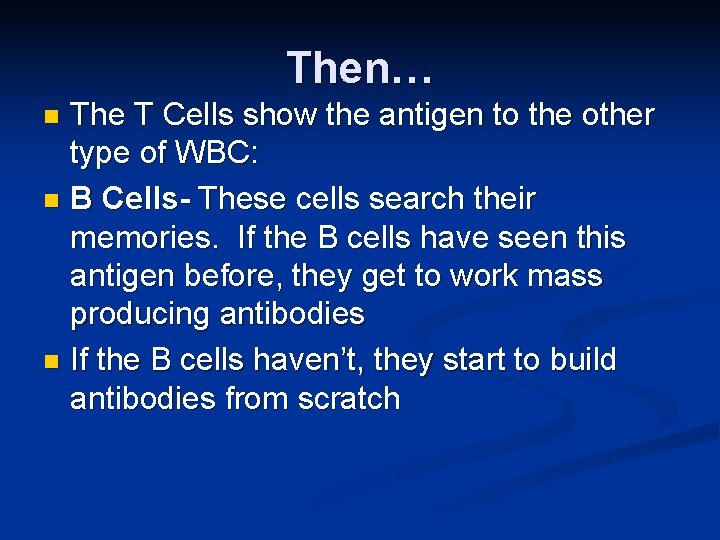 Then… The T Cells show the antigen to the other type of WBC: n