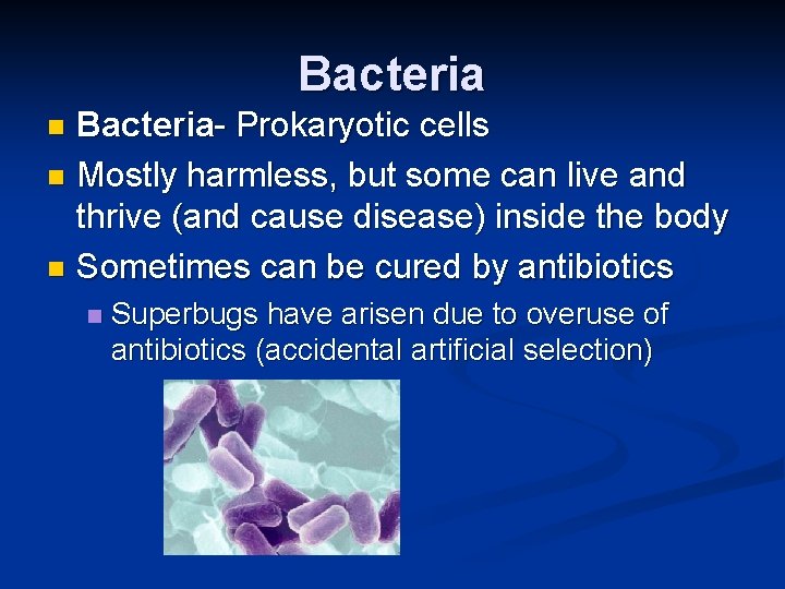 Bacteria- Prokaryotic cells n Mostly harmless, but some can live and thrive (and cause