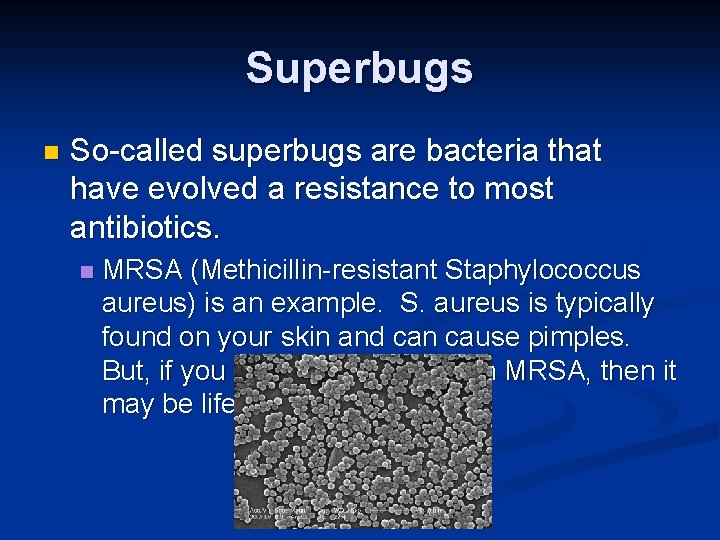 Superbugs n So-called superbugs are bacteria that have evolved a resistance to most antibiotics.