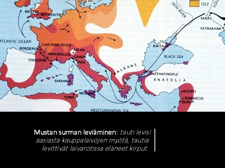 Mustan surman leviäminen: tauti levisi aasiasta kauppalaivojen myötä, tautia levittivät laivarotissa eläneet kirput. 