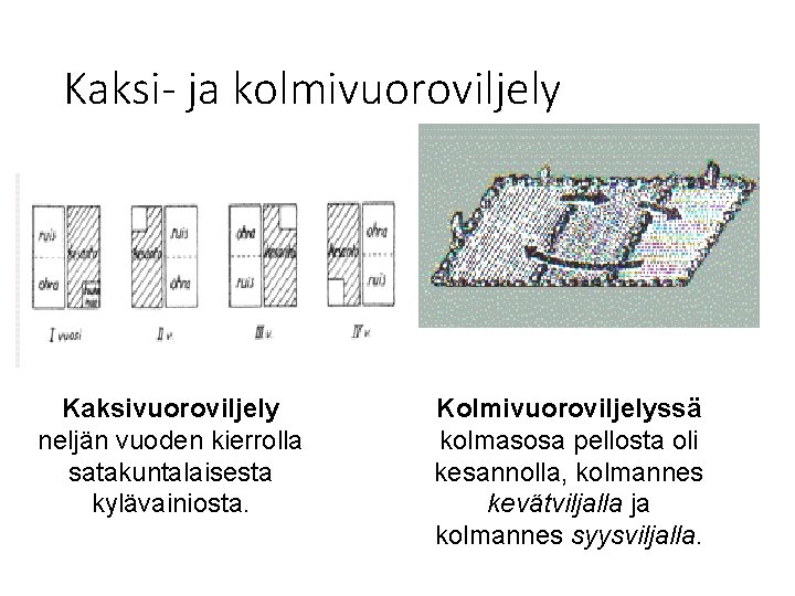 Kaksi- ja kolmivuoroviljely Kaksivuoroviljely neljän vuoden kierrolla satakuntalaisesta kylävainiosta. Kolmivuoroviljelyssä kolmasosa pellosta oli kesannolla,