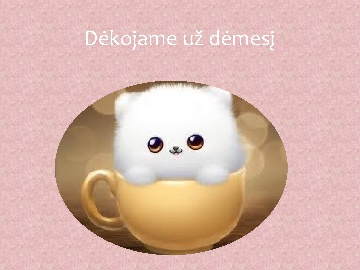Dėkojame už dėmesį 