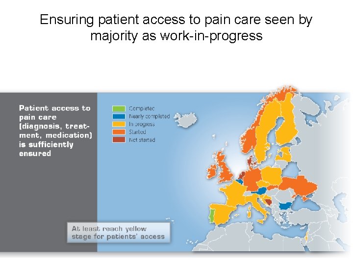 Ensuring patient access to pain care seen by majority as work-in-progress 