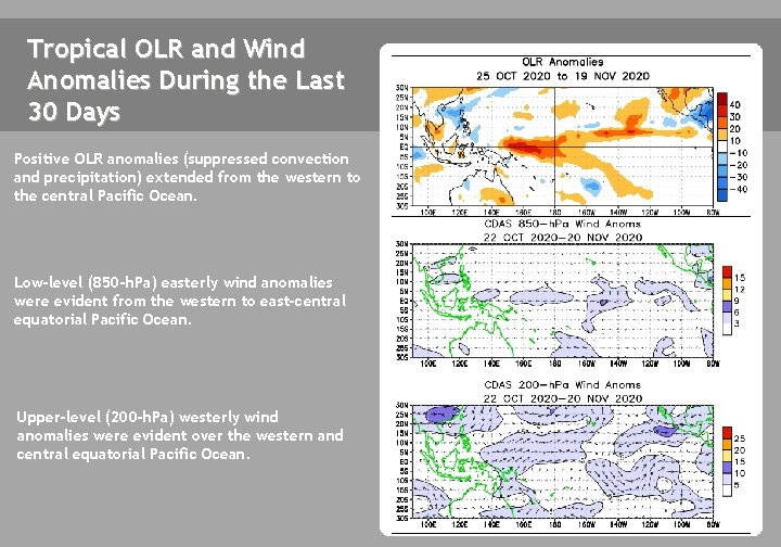Tropical OLR and Wind Anomalies During the Last 30 Days Positive OLR anomalies (suppressed