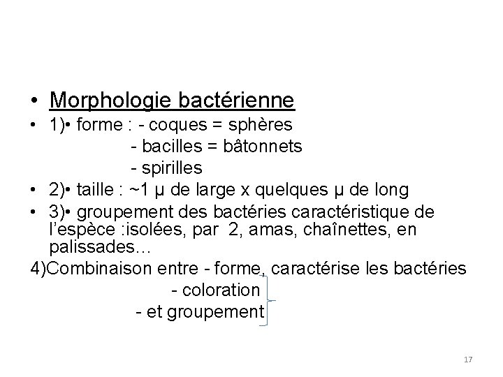  • Morphologie bactérienne • 1) • forme : - coques = sphères -