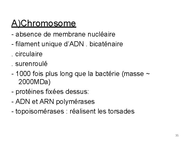 A)Chromosome - absence de membrane nucléaire - filament unique d’ADN. bicaténaire. circulaire. surenroulé -