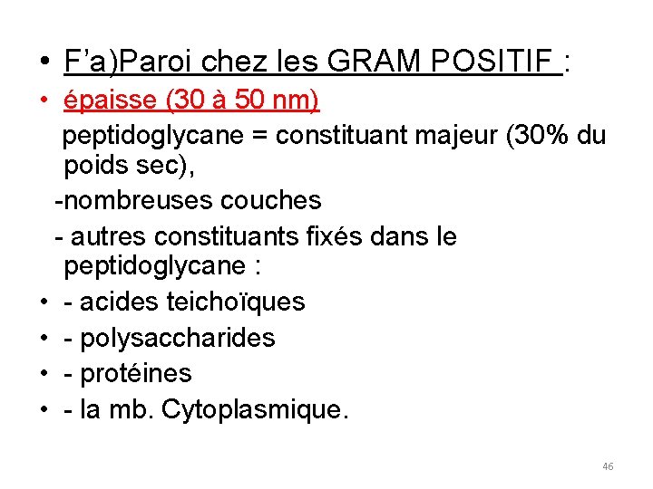  • F’a)Paroi chez les GRAM POSITIF : • épaisse (30 à 50 nm)