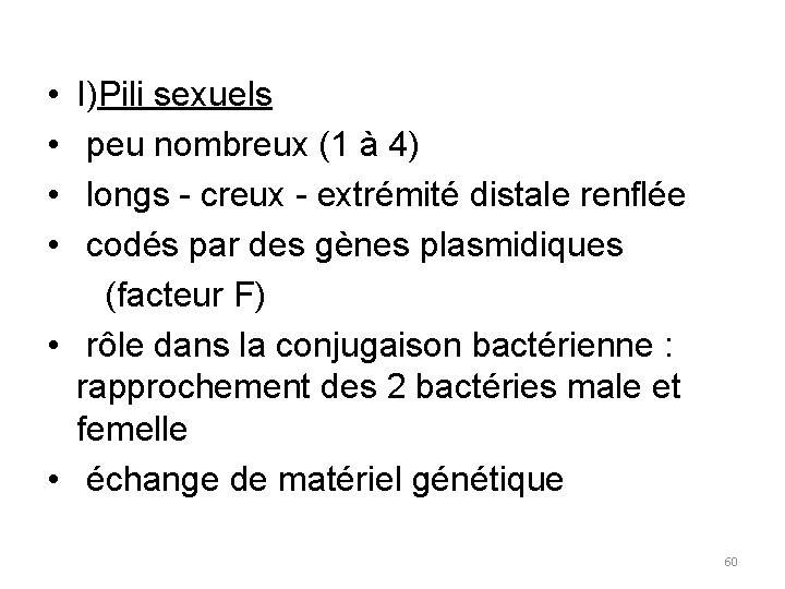  • I)Pili sexuels • peu nombreux (1 à 4) • longs - creux