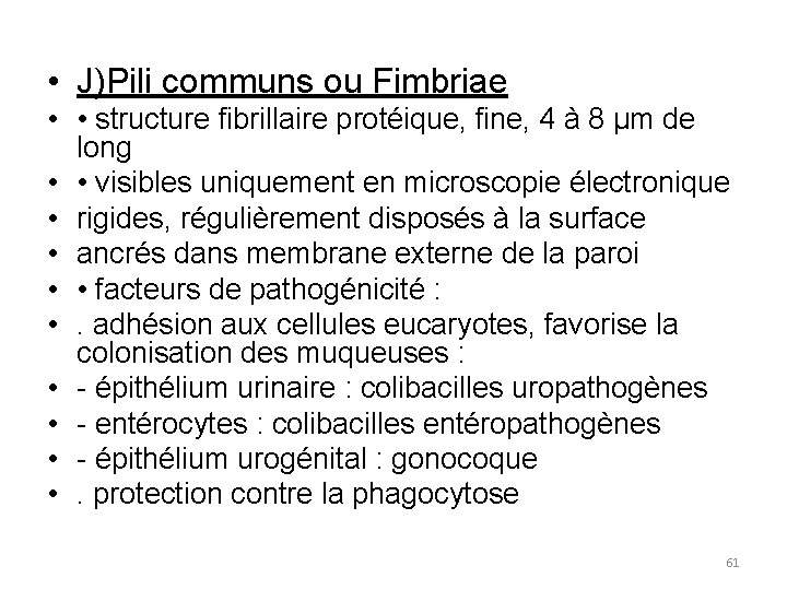  • J)Pili communs ou Fimbriae • • structure fibrillaire protéique, fine, 4 à