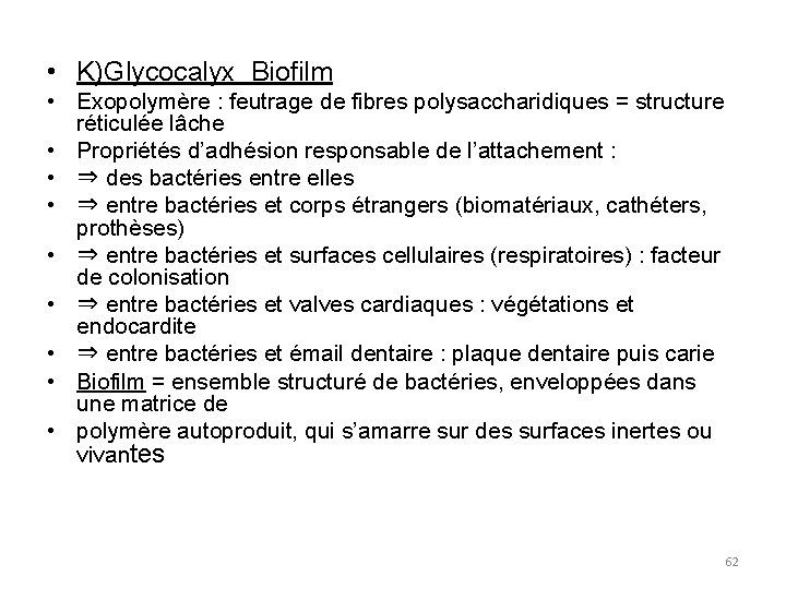  • K)Glycocalyx Biofilm • Exopolymère : feutrage de fibres polysaccharidiques = structure réticulée