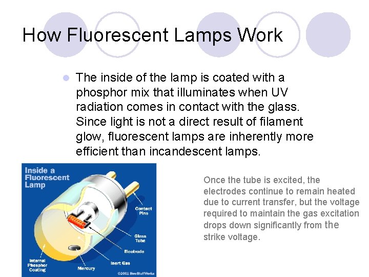 How Fluorescent Lamps Work l The inside of the lamp is coated with a