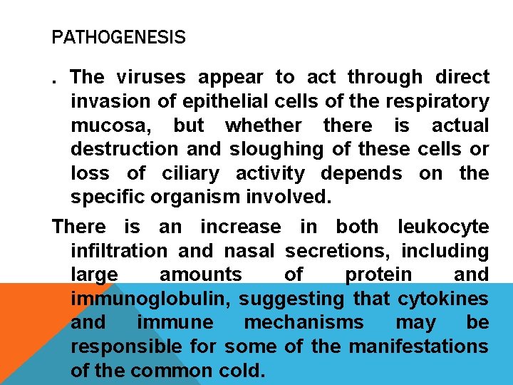 PATHOGENESIS. The viruses appear to act through direct invasion of epithelial cells of the