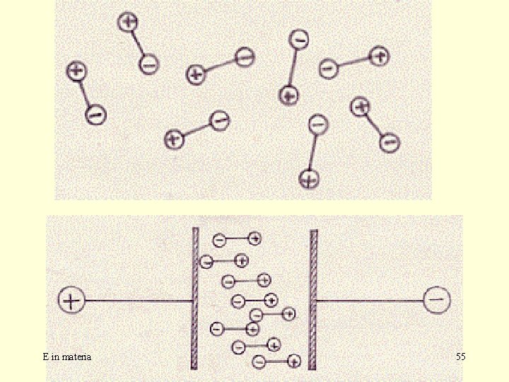 E in materia 55 