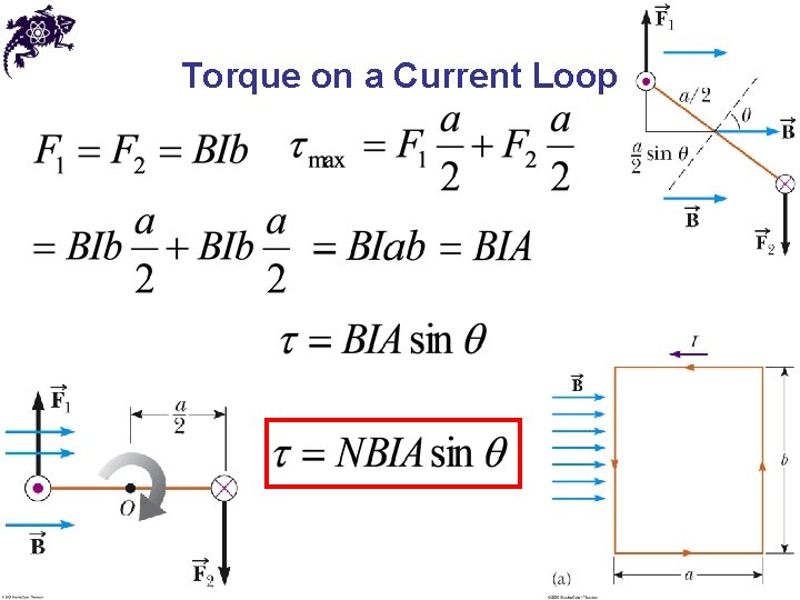 Torque on a Current Loop 