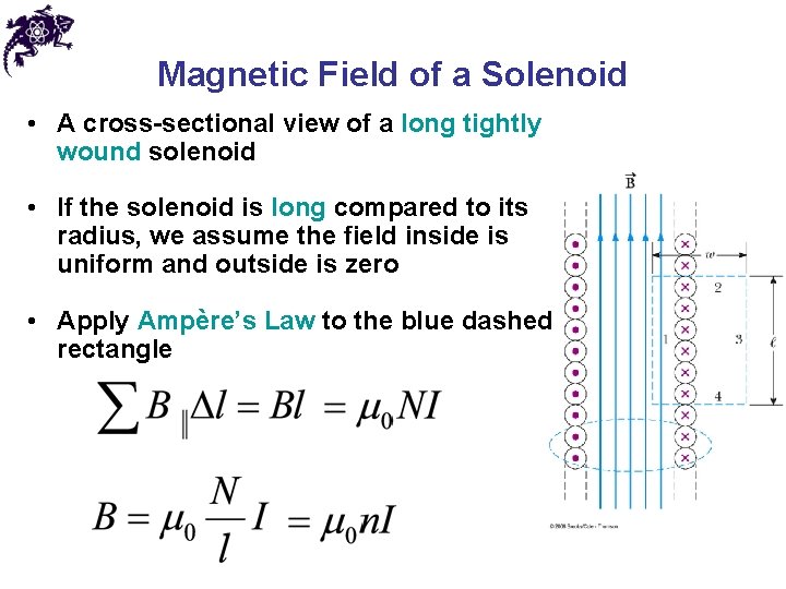 Magnetic Field of a Solenoid • A cross-sectional view of a long tightly wound