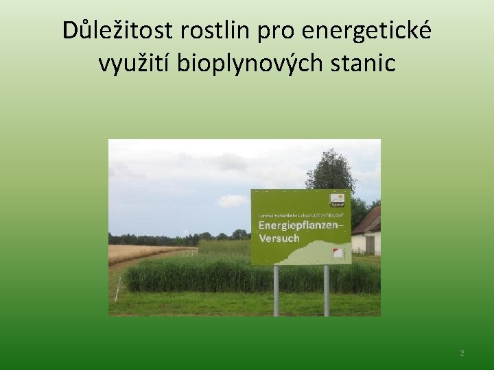 Důležitost rostlin pro energetické využití bioplynových stanic 2 