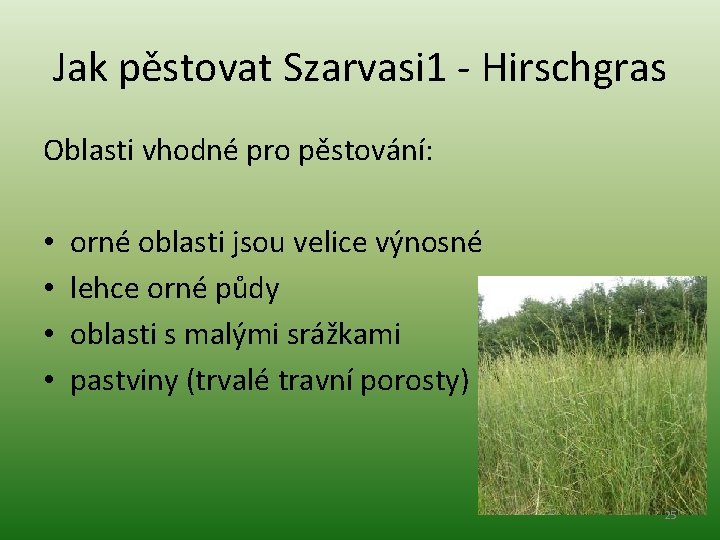 Jak pěstovat Szarvasi 1 - Hirschgras Oblasti vhodné pro pěstování: • • orné oblasti