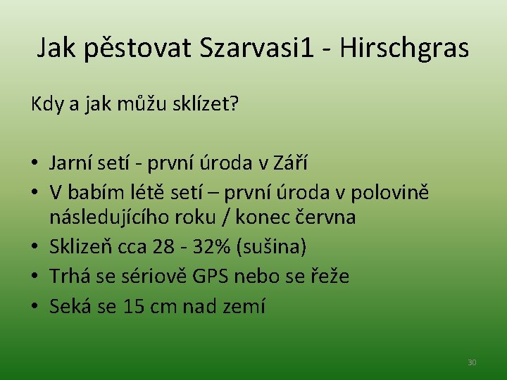 Jak pěstovat Szarvasi 1 - Hirschgras Kdy a jak můžu sklízet? • Jarní setí