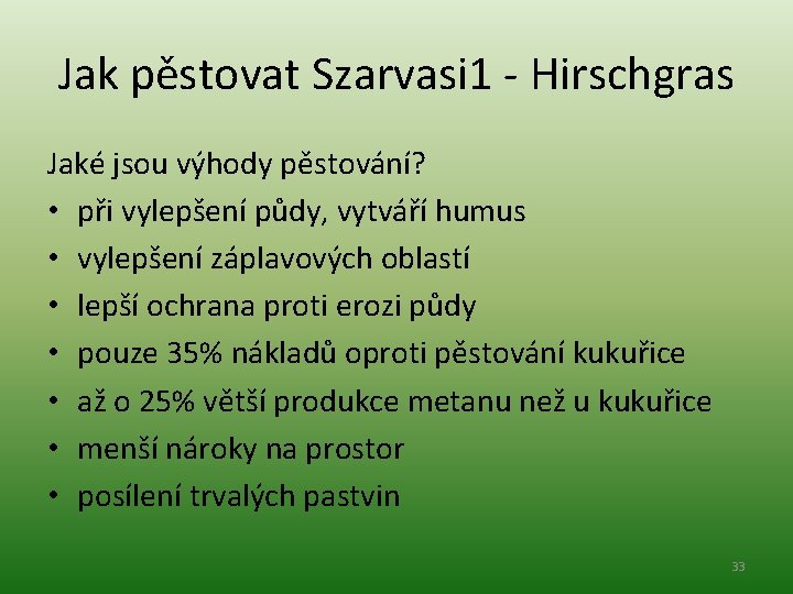 Jak pěstovat Szarvasi 1 - Hirschgras Jaké jsou výhody pěstování? • při vylepšení půdy,