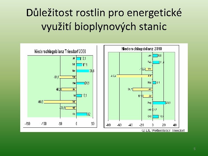 Důležitost rostlin pro energetické využití bioplynových stanic 5 