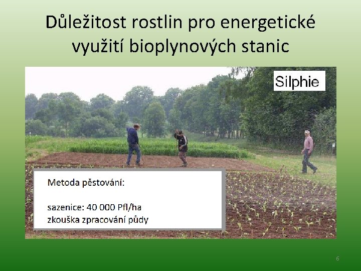 Důležitost rostlin pro energetické využití bioplynových stanic 6 