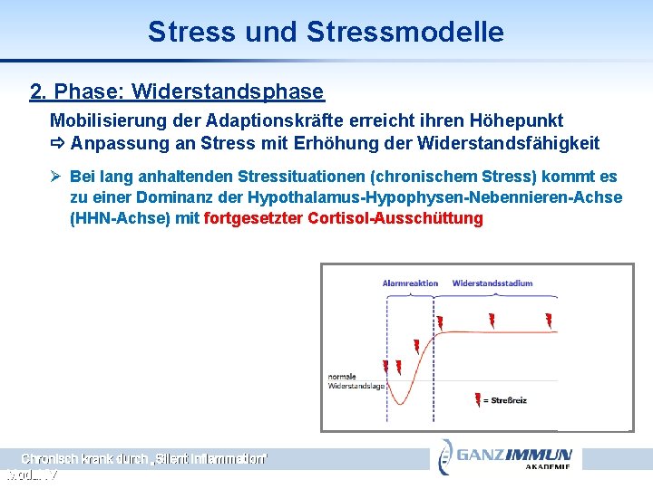 Stress und Stressmodelle 2. Phase: Widerstandsphase Mobilisierung der Adaptionskräfte erreicht ihren Höhepunkt Anpassung an