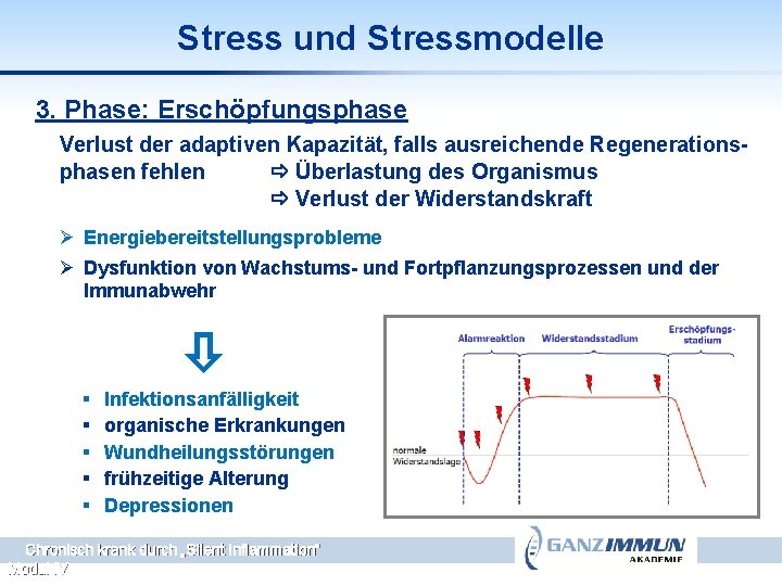 Stress und Stressmodelle 3. Phase: Erschöpfungsphase Verlust der adaptiven Kapazität, falls ausreichende Regenerationsphasen fehlen