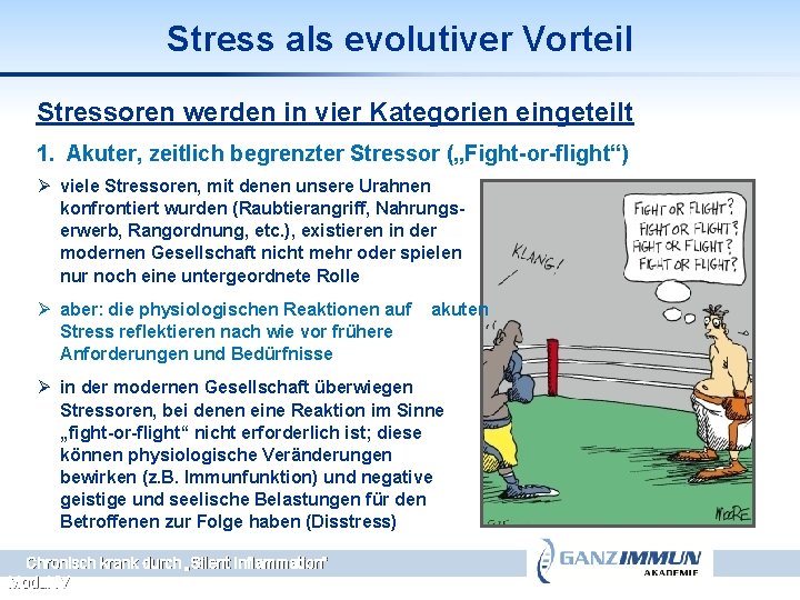 Stress als evolutiver Vorteil Stressoren werden in vier Kategorien eingeteilt 1. Akuter, zeitlich begrenzter