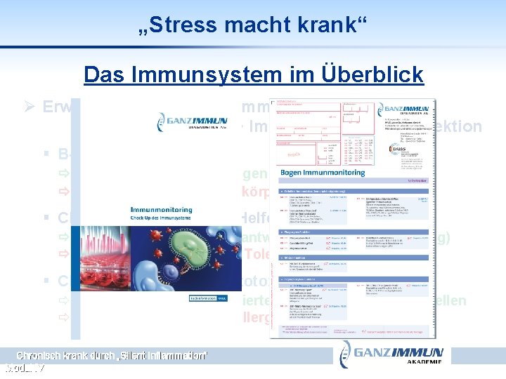 „Stress macht krank“ Das Immunsystem im Überblick Ø Erworbenes (adaptives) Immunsystem Immunschutz bei Reinfektion