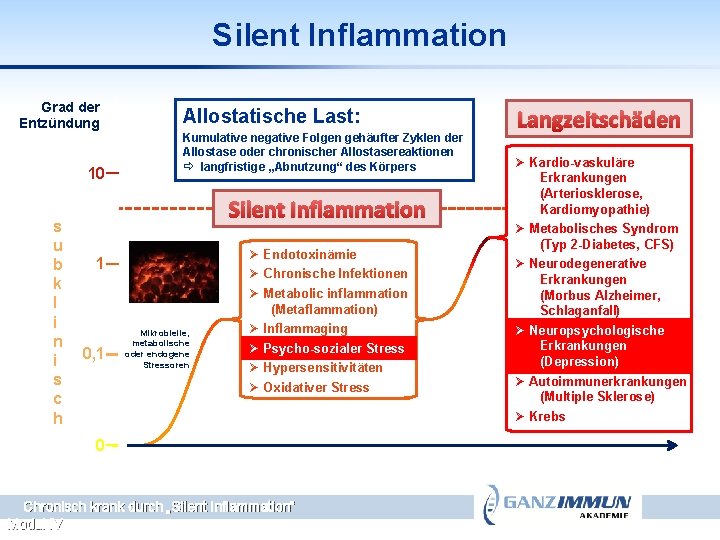 Silent Inflammation Grad der Entzündung 10 s u b k l i n i