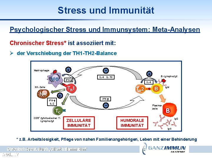 Stress und Immunität Psychologischer Stress und Immunsystem: Meta-Analysen Chronischer Stress* ist assoziiert mit: Ø