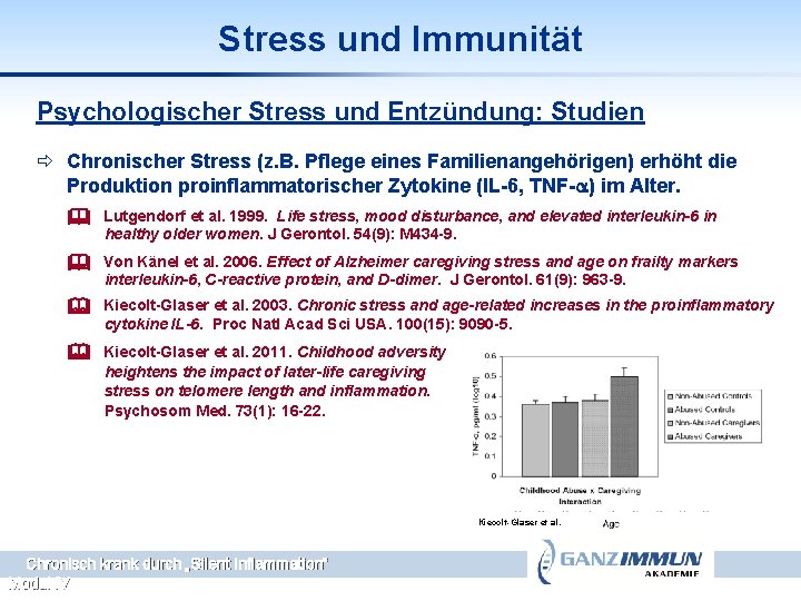 Stress und Immunität Psychologischer Stress und Entzündung: Studien ð Chronischer Stress (z. B. Pflege